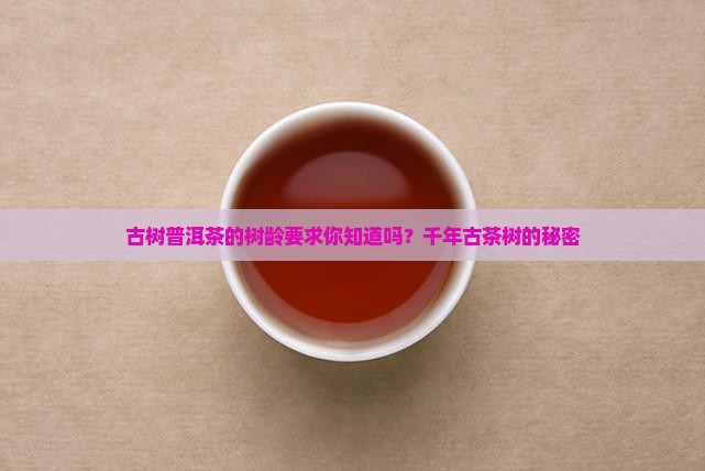 古树普洱茶的树龄要求