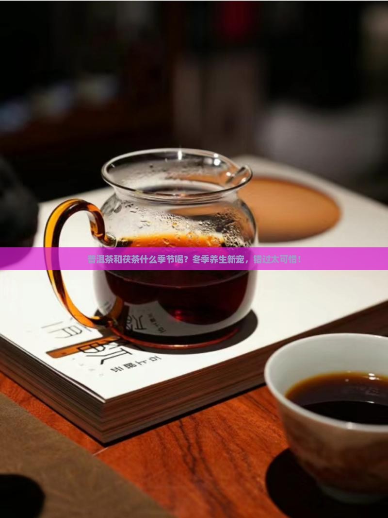 普洱茶和茯茶什么季节喝
