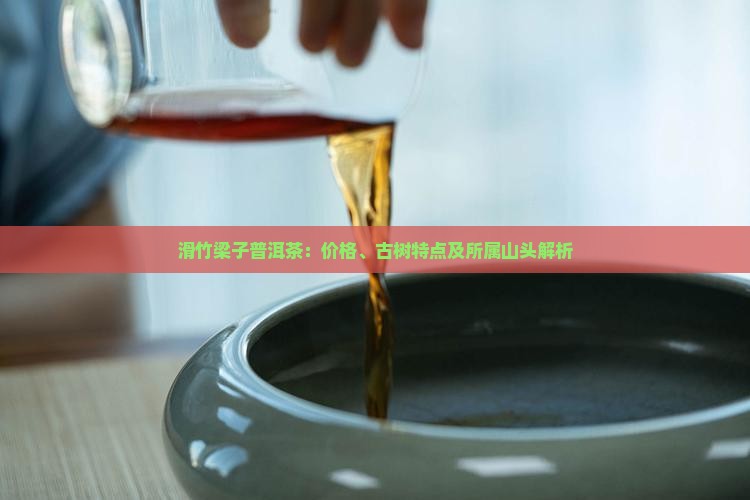 滑竹梁子普洱茶品牌