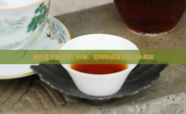 滑竹梁子普洱茶品牌