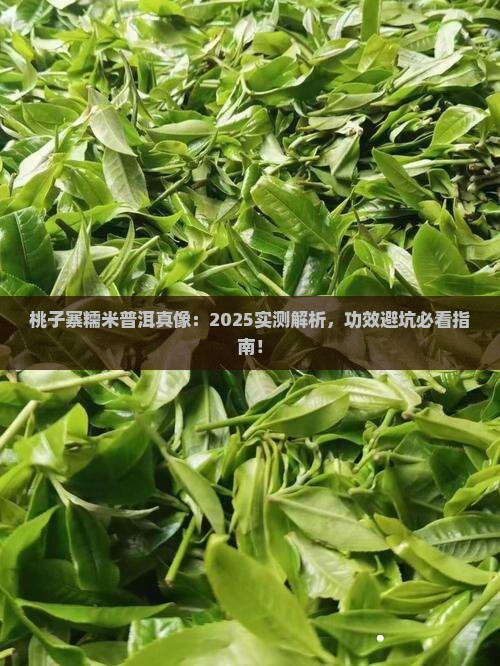 糯米普洱功效桃子寨普洱茶