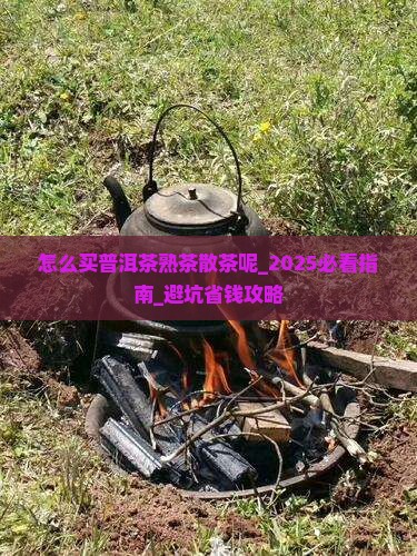 怎么买普洱茶熟茶散茶呢