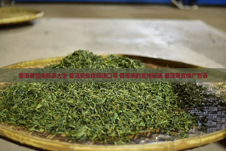 普洱茶宣传标语