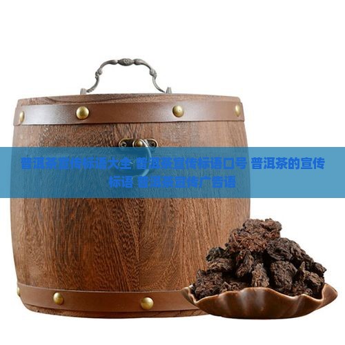 普洱茶宣传标语