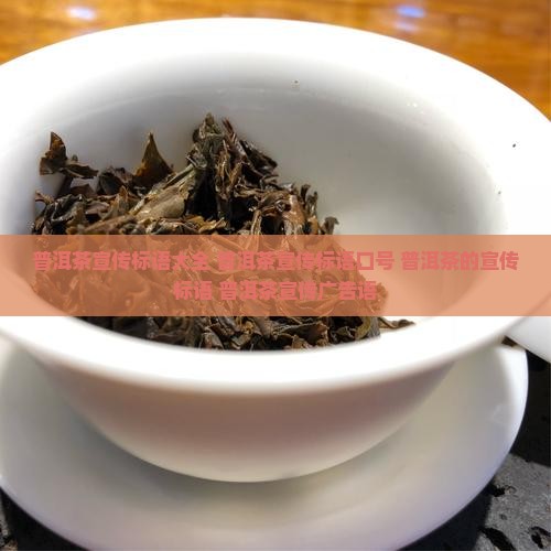 普洱茶宣传标语