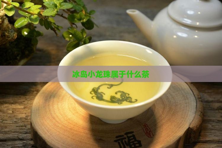 冰岛小龙珠属于什么茶