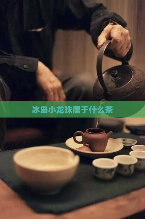 冰岛小龙珠属于什么茶