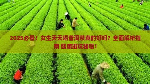 女生天天喝普洱茶可以吗