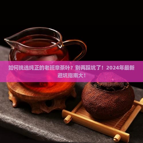 如何挑选纯正的老班章茶叶