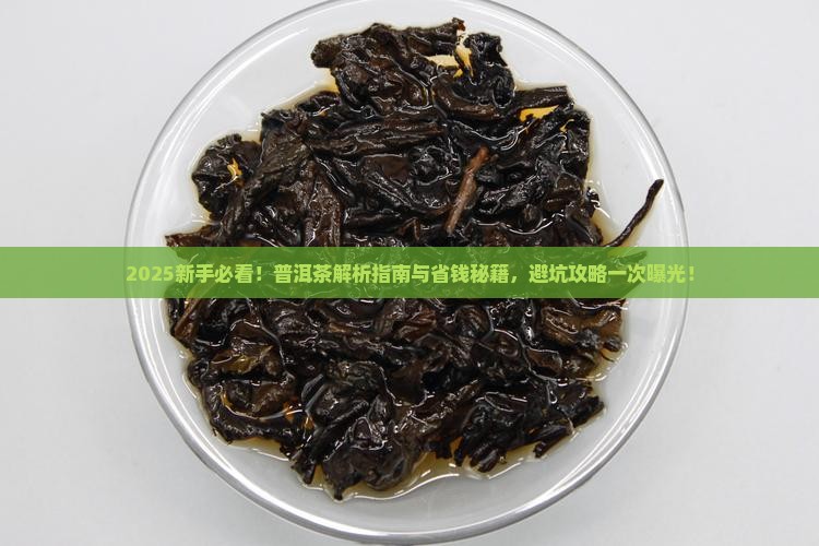 新手值得入手普洱茶