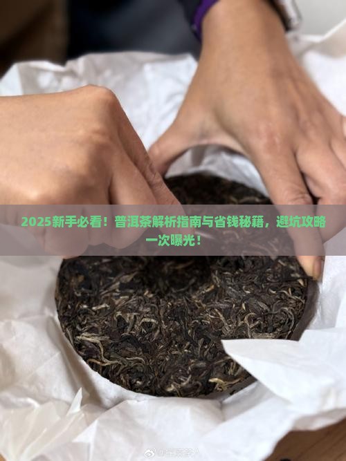 新手值得入手普洱茶