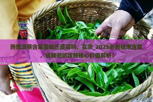 熟普洱茶含氟量低还是高吗