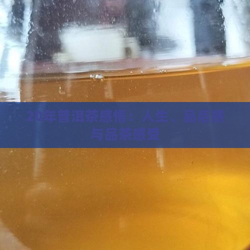 20年普洱茶感悟