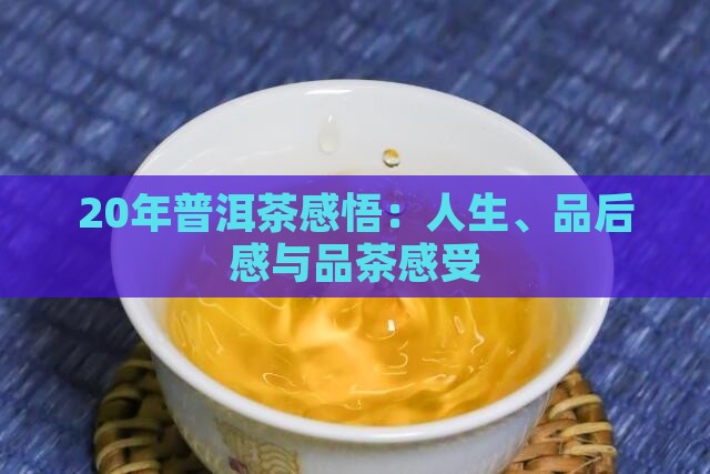 20年普洱茶感悟