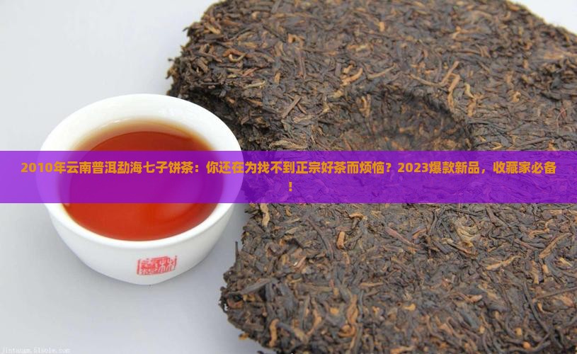 2010年云南普洱勐海七子饼茶