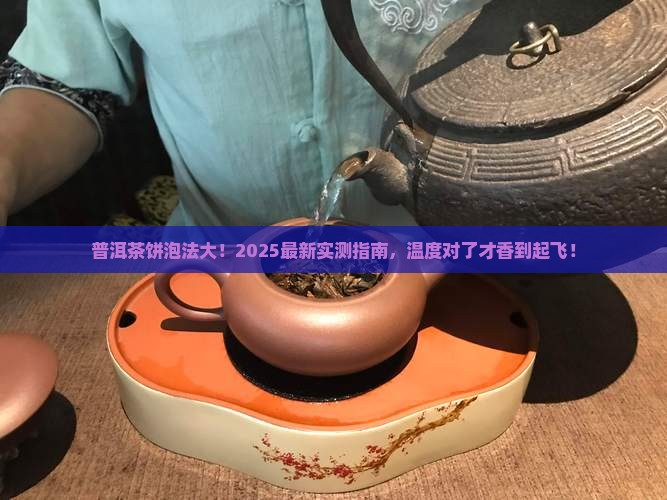 普洱茶饼多少温度泡