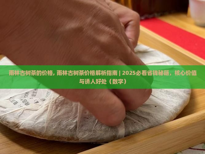 雨林古树茶的价格