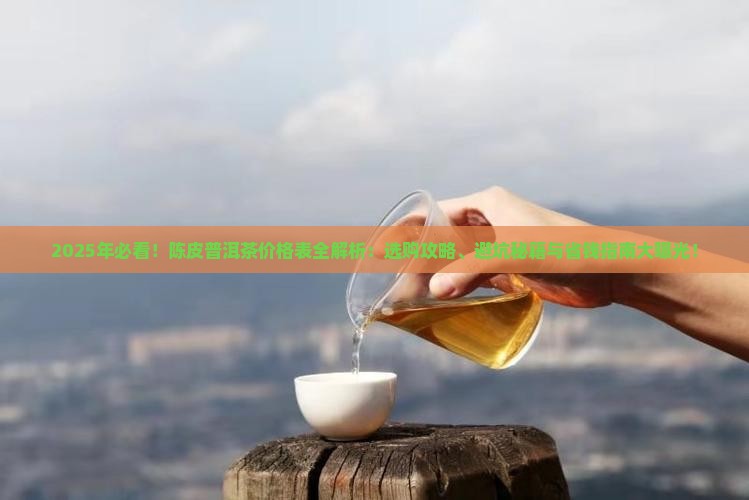 陈皮的普洱茶的价格表