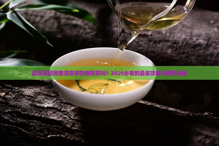 勐海宫廷熟普洱茶介绍