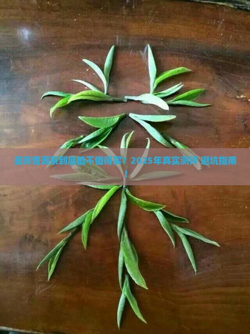 曼岗普洱茶怎么样