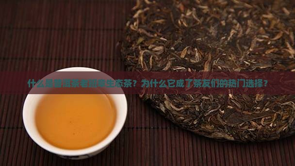 什么是普洱茶老班章生态茶