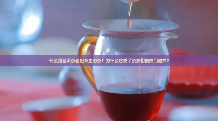 什么是普洱茶老班章生态茶