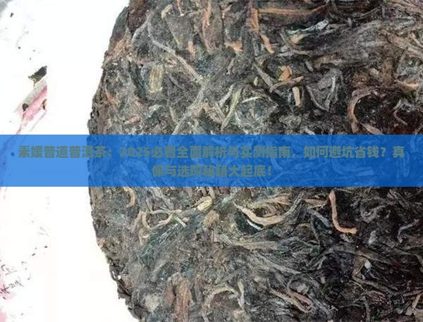 素媛普道普洱茶