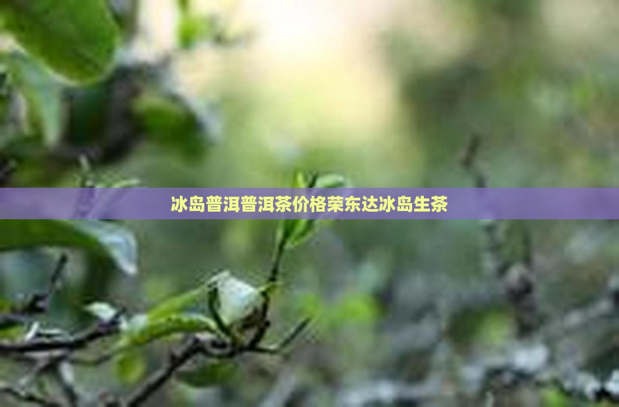 荣东达冰岛生茶