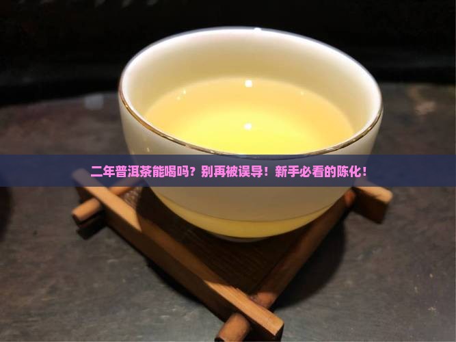 二年普洱茶能喝吗