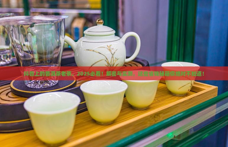 抖音上的普洱茶老茶