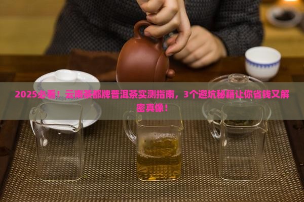 云南茶都牌普洱茶