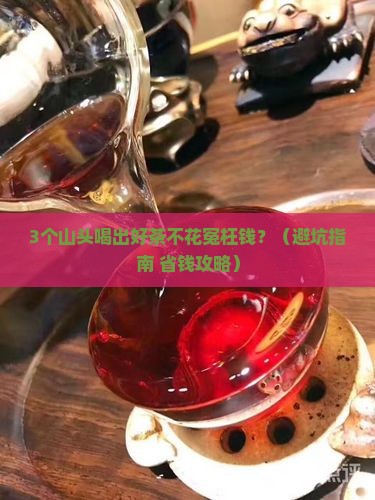 普洱茶性价比较高的山头