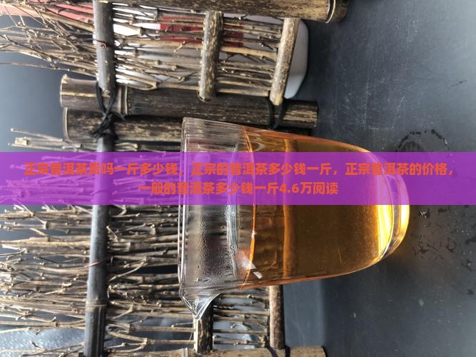 正宗普洱茶贵吗一斤