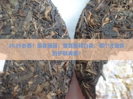 美容选普洱茶还是白茶的