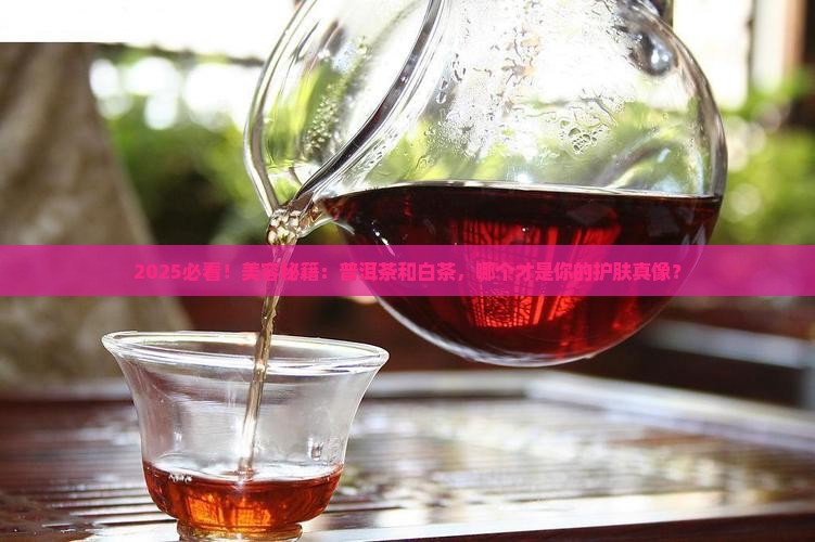美容选普洱茶还是白茶的