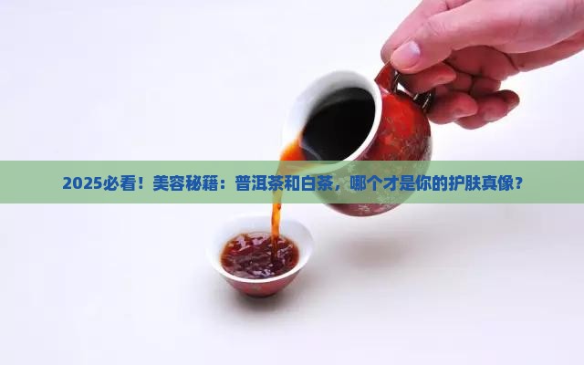 美容选普洱茶还是白茶的