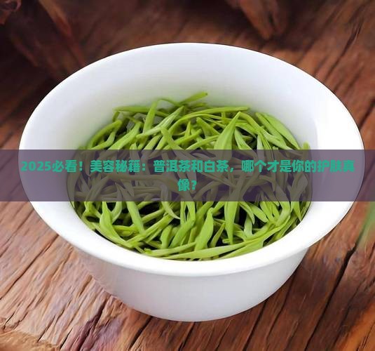 美容选普洱茶还是白茶的