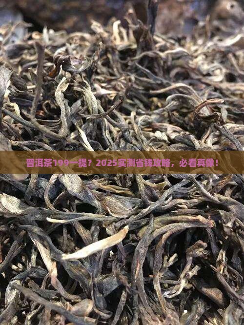 普洱茶199一提