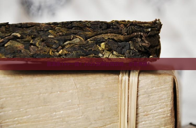普洱茶199一提