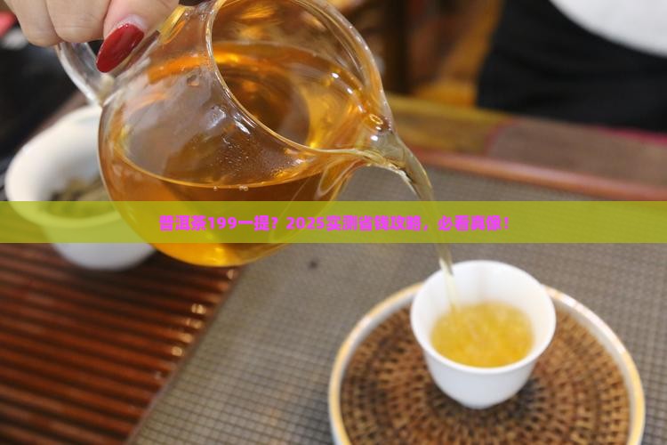 普洱茶199一提