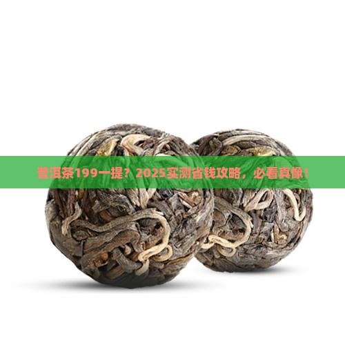 普洱茶199一提