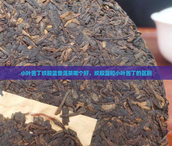 小叶苦丁绞股蓝普洱茶