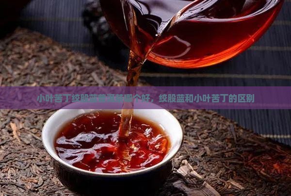 小叶苦丁绞股蓝普洱茶
