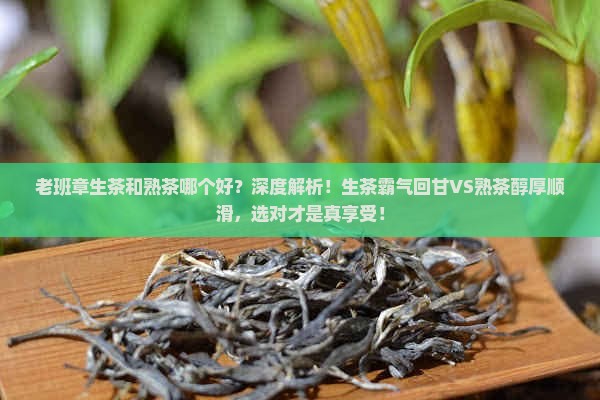 老班章生茶和熟茶哪个好