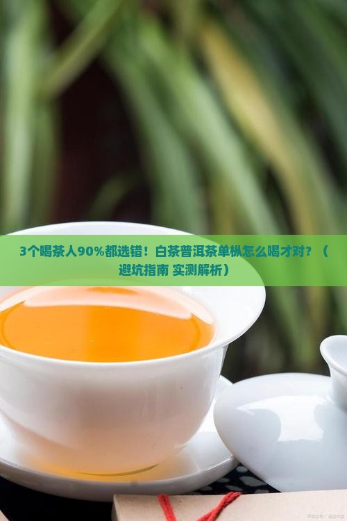 白茶普洱茶单枞哪个好喝