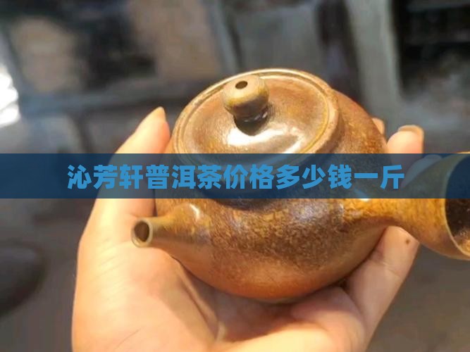 沁芳轩普洱茶价格多少钱一斤