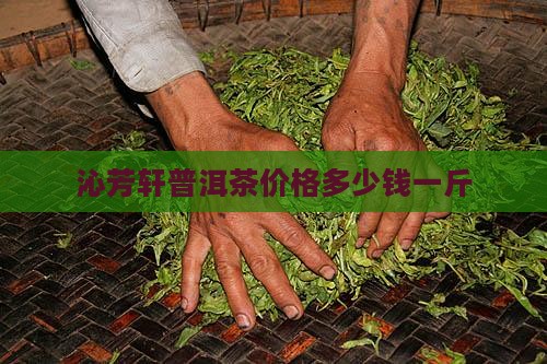 沁芳轩普洱茶价格多少钱一斤