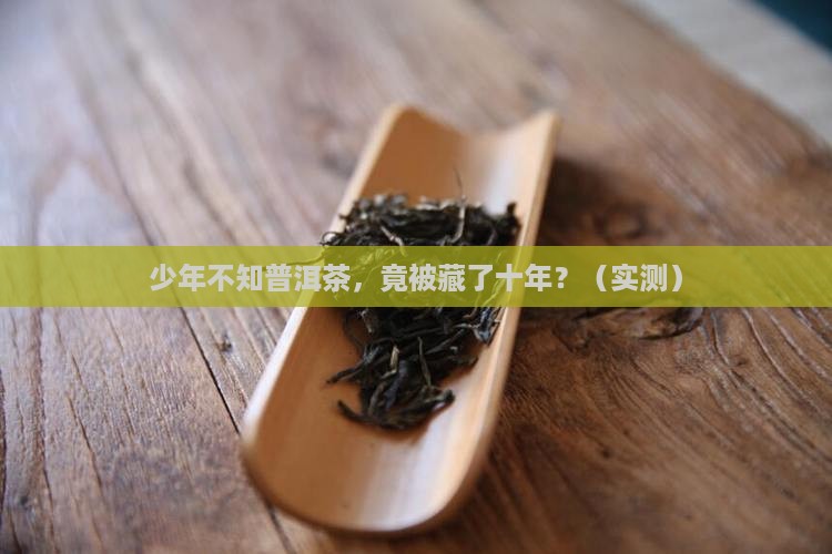 少年不知普洱茶