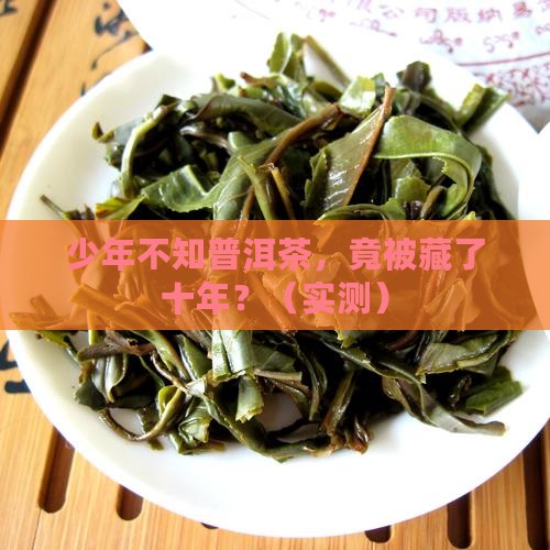 少年不知普洱茶