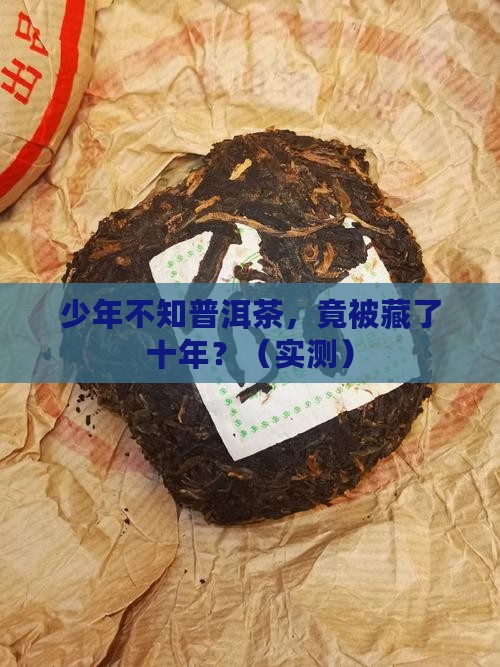 少年不知普洱茶